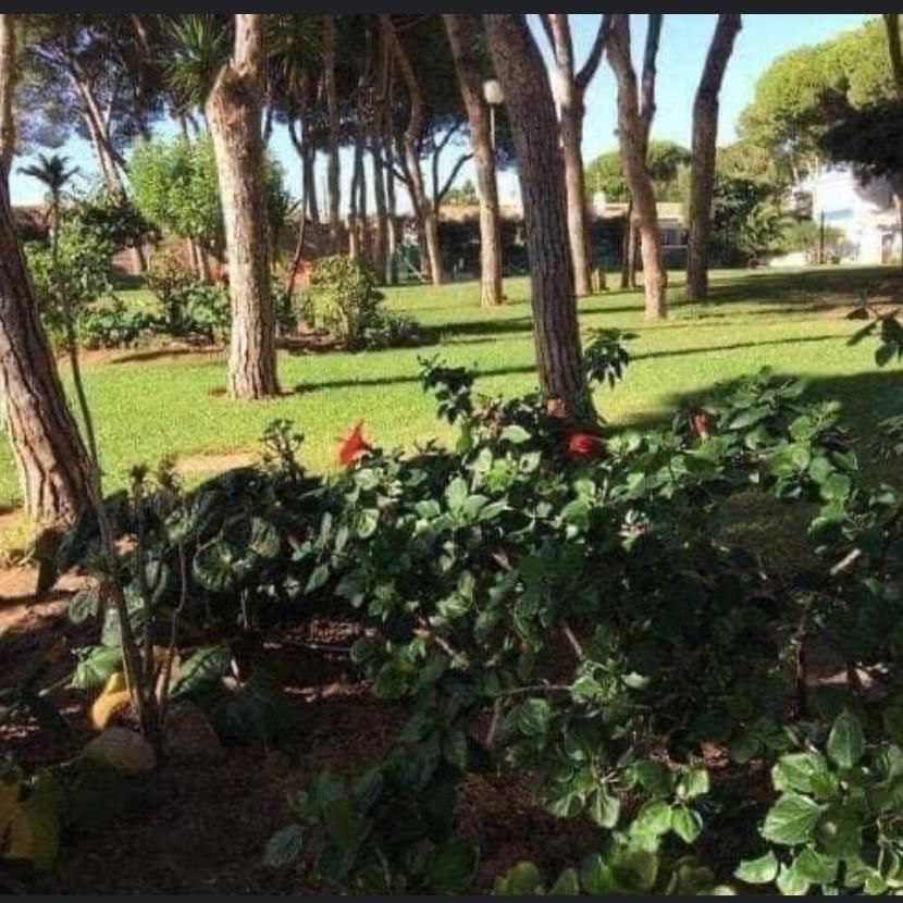 Appartement Apartamento Calypso à Sitio de Calahonda Extérieur photo